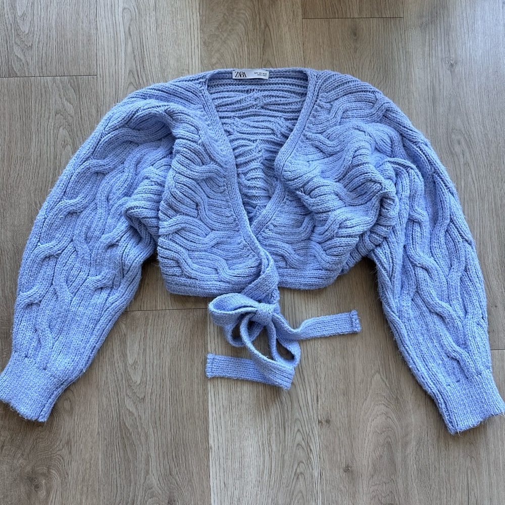 Zara Knit Back Tie Cropped Sweater